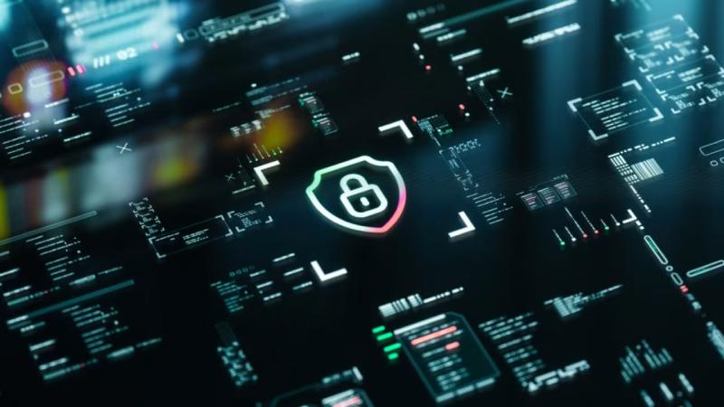 环翠区软件开发公司